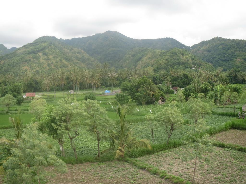אמד Mesari Homestay & Warung מראה חיצוני תמונה